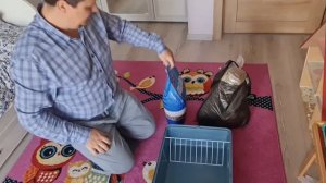 КУПИЛИ КРОЛИКА. Первый день дома. Карликовый кролик минор.Блог.