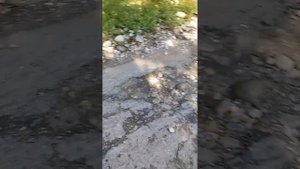 иркутская область усольский район деревня архиереевка, ужасные ямы на дороге