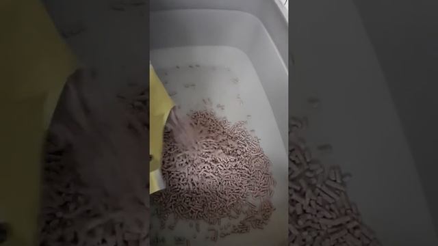 Наполнитель для туалета смотреть онлайн