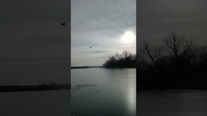 Рыбалка с двумя птичками