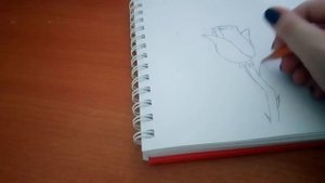 Рисуем простую розу. (типо мастер класс)