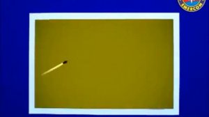 Лесные пожары.mp4