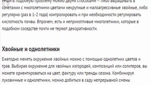 Примеры удачных сочетаний растений. Что можно посадить рядом с хвойными?