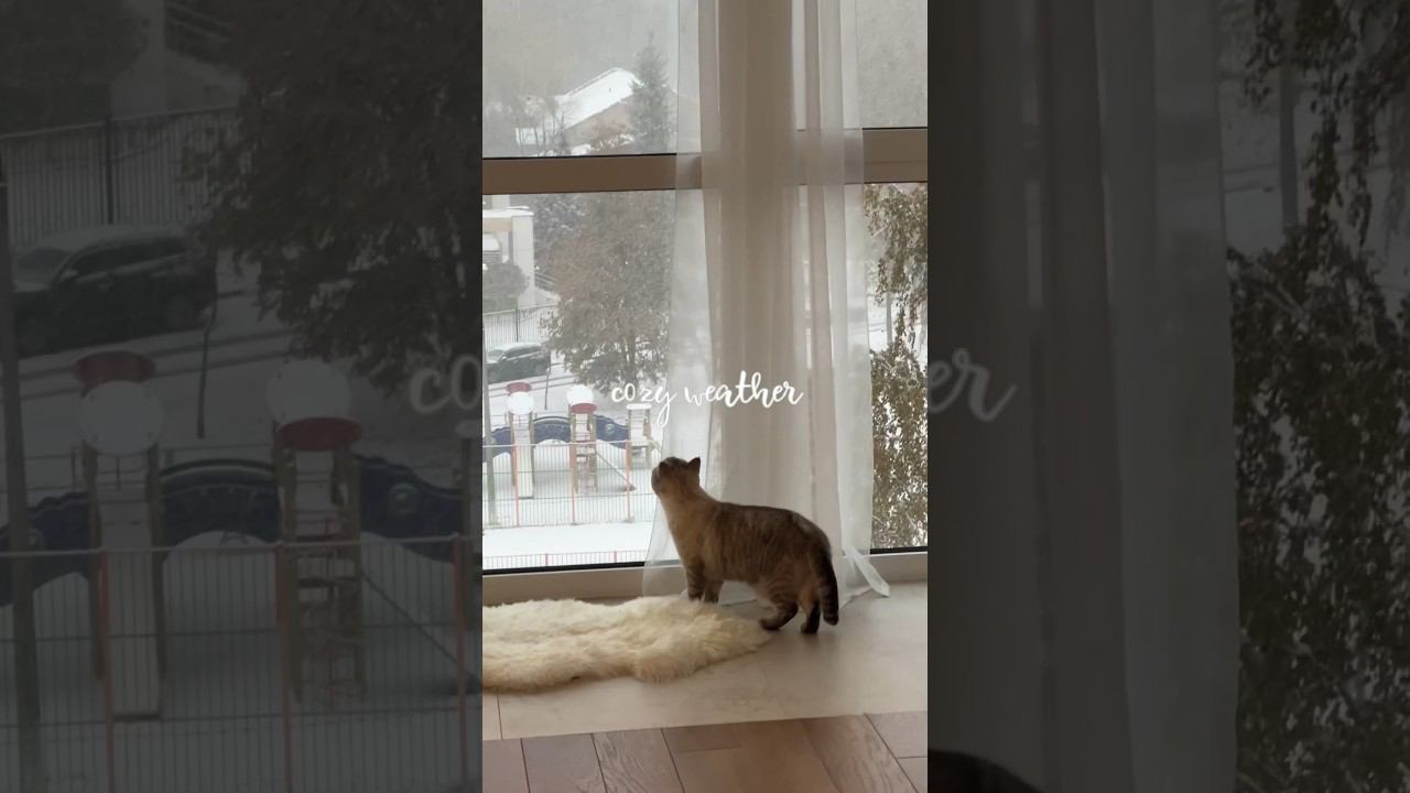 ️ Уютная погода #панорамноеостекление #уютнаяатмосфера #минимализм