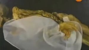 Проклятие мумии Алтайской принцессы