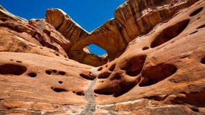 GOOD MORNING Music at 528 Hz, Boost Positive Energy, Peaceful Morning Meditation Music For Waking U
