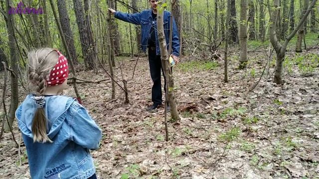 Мешок на дереве|природа??/жуки//| сохраняю спокойствие|прогулка blog| смотреть онлайн