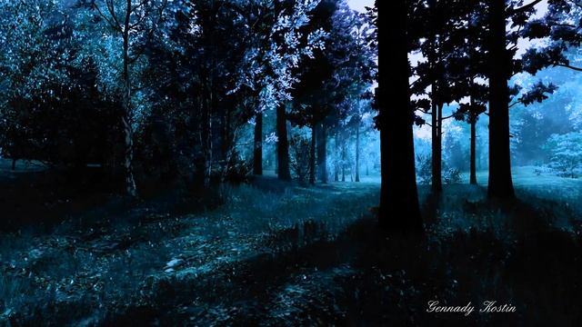 4K Мистический лес   Mystical forest