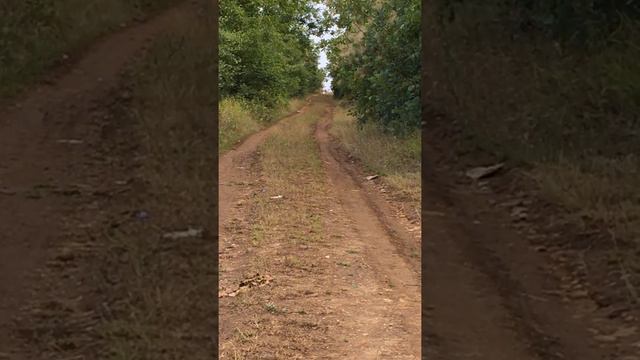 EDgun 5.5 mm. JSB MATCH DIABOLO REDESIGNED 1.645 ( Честный отстрел в ответ Arrows 4402 ) смотреть онлайн