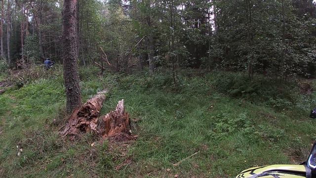дальняк по Курголово