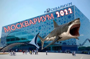 МОСКВАРИУМ на ВДНХ..Рай не только для детей?...Экскурсия на все 100 % !