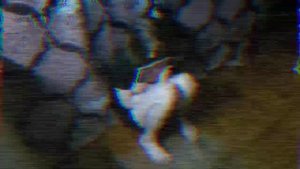 тайны непознанного