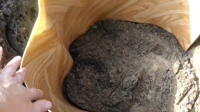 Дачные хлопоты.Посадка черники смотреть онлайн