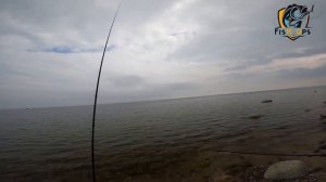 Рыбалка на море с берега | Бомбарда (Сбирулино) | Сарган.