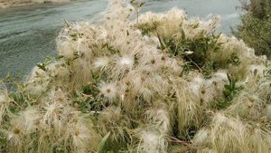 За раками на реку Или.Чертов палец 08.09.2023