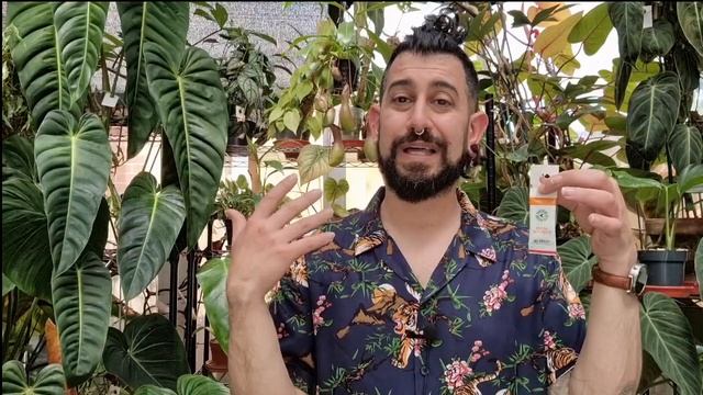 Houseplant Pests Comprehensive Guide | Deal with Fungus Gnats, Spider Mites, Mealybugs, Thrips смотреть онлайн