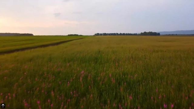 5 КРЫЛАТЫХ ФРАЗ. ИСТОРИЯ ПРОИСХОЖДЕНИЯ ИДИОМ В РУССКОМ ЯЗЫКЕ. Аршин,баклуши,белена,набат,перчатка смотреть онлайн