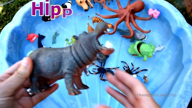 Learn Sea Animal Wild Zoo Animals Names Education Video Animal Toys For Kids смотреть онлайн