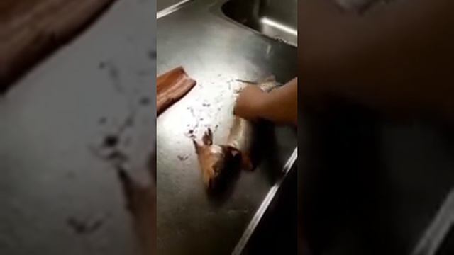 Готовим Рыбу! - Новогодний выпуск смотреть онлайн