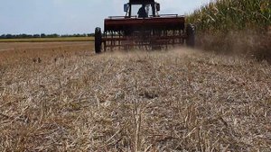 ВНИМАНИЕ:Прямой посев рапса по стерне сеялкой СЗ 3.6,23.08.21.NO-TILL UKRAINE.