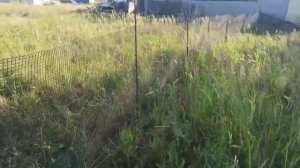 Сделал загон, для Овец и баранов, из пластиковой сетки и арматуры. (загон для овец) #загон