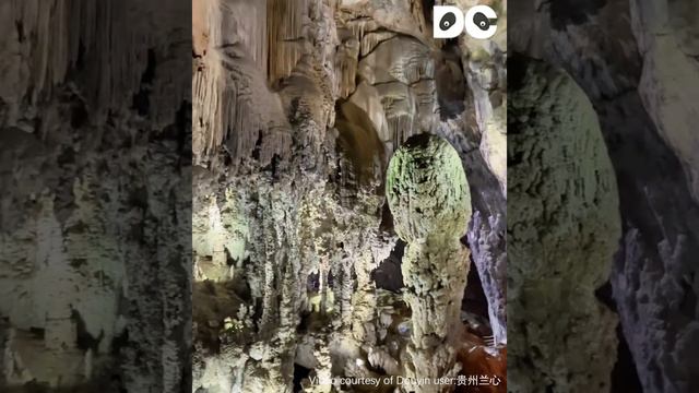 Zhijin Cave: The Hidden Wonders of Nature