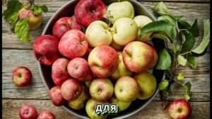 Польза Яблоки / Польза и вред яблоки