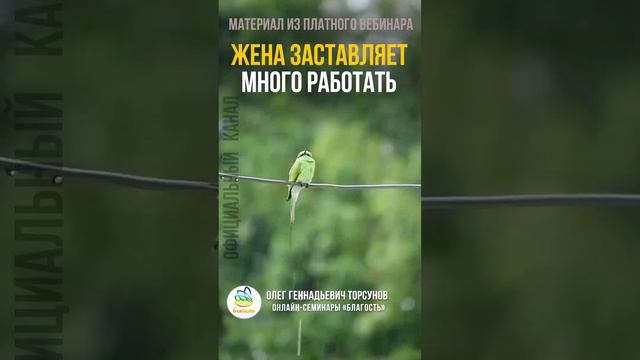 Жена заставляет много работать