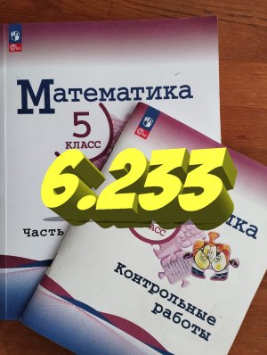 математика 5 класс номер 6.233