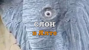 Прелел ловкости!