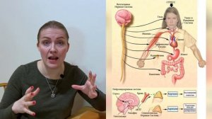 Стресс у собаки: что это такое, как распознать. Часть 1