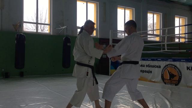 Как бить МАВАШИ ЦУКИ | Механика и применение в бою | Боковые удары руками в карате-до смотреть онлайн