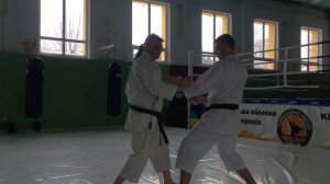 Как бить МАВАШИ ЦУКИ | Механика и применение в бою | Боковые удары руками в карате-до