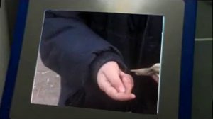 Пародия на Даешь Молодежь