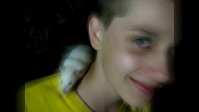 Чингачгук - большие коки. смотреть онлайн