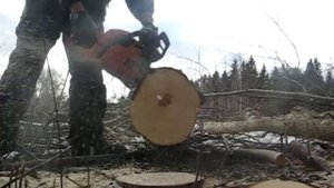 Husqvarna 340