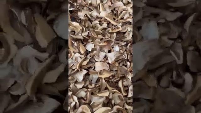 Сушеные белые грибы боровики - место сбора дикоросов ХМАО-ЮГРА. смотреть онлайн