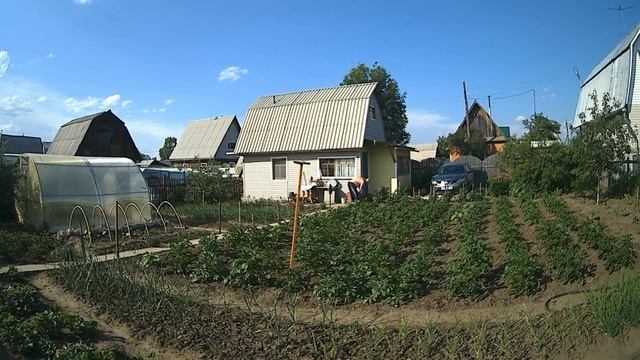 Дачные забавы.