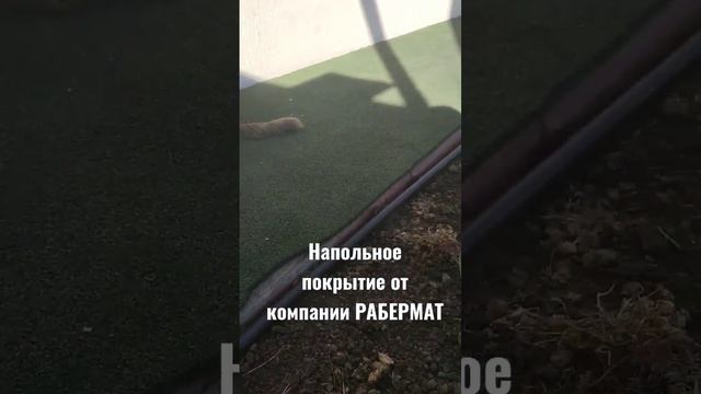 Рулонное напольное покрытие для входных групп и отмостки домов. #напольноепокрытие #входнаягруппа
