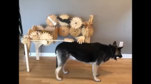 Автоматическая чесалка для собак