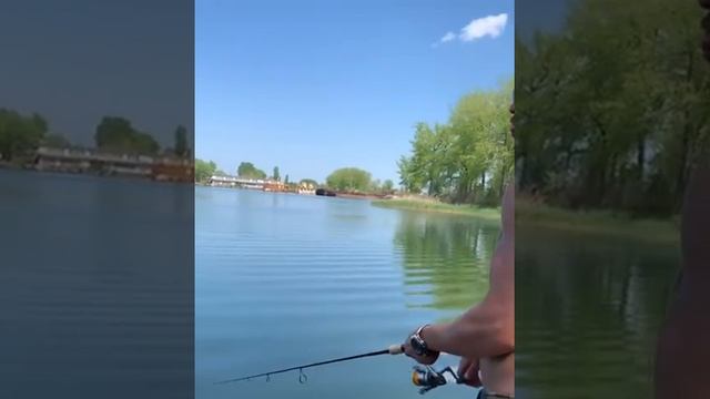 ВРЕМЯ РЫБАЛКИ! ? #fishingtime