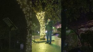 ▶️ Ворованная ночь / Ялта / Жизнь в Ялте
