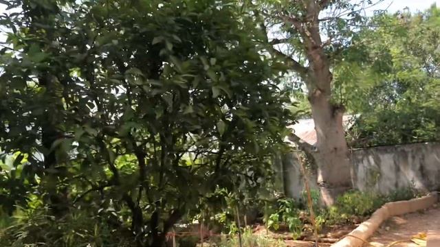 Занзибар. Африка. Обзор отеля Natural Kendwa Villa
