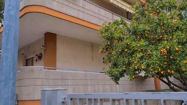 Итальянский Супермаркет ВЫБОР Мясных Продуктов ЦЕНЫ/Посылка с Сицилии Красные?Апельсины смотреть онлайн