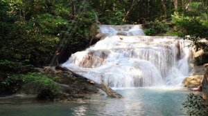 Beautiful Relaxing Waterfall sound with birds and Music for Stress Relief and Meditation