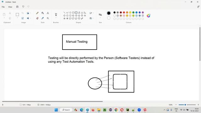 What is Manual Testing? (Selenium Python - Part 1)