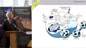 Птушкин В. В. Регуляторы апоптоза: механизмы действия и значение для клинической практики