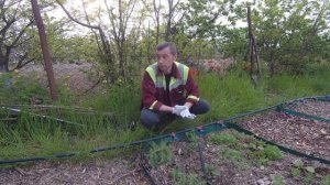 Капельный полив своими руками / Быстро просто и надежно / 10 соток