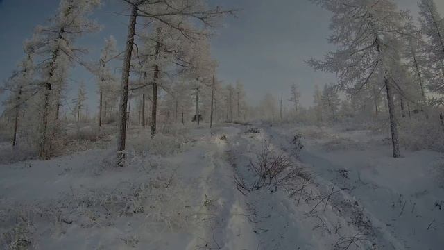 Жесткое рубилово к цели! Порвали привод. Саранакан. Часть вторая (Lexus LX 470, Pajero, Нива, Surf смотреть онлайн