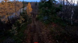 Забытая легенда Honda CRF250x